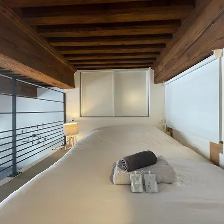 Cosy Au Coeur Du Vieux Lyon